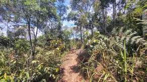 Terreno Vale do Paraíso, Teresópolis - RJ — foto 2