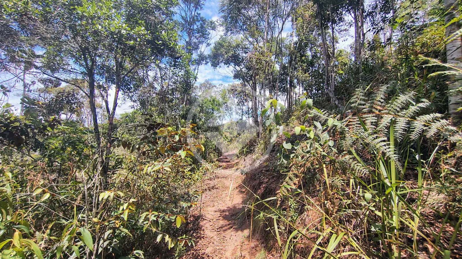 Imagem 1 - Terreno em Vale do Paraíso, Teresópolis - RJ
