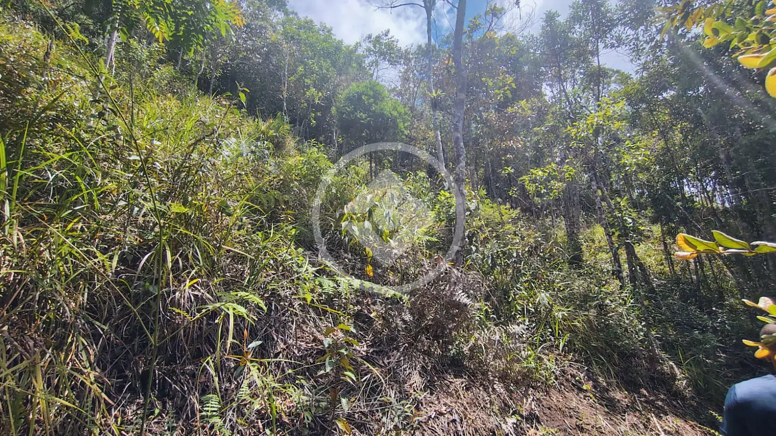 Imagem 1 - Terreno em Vale do Paraíso, Teresópolis - RJ