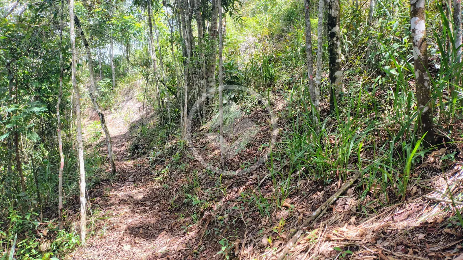 Imagem 2 - Terreno em Vale do Paraíso, Teresópolis - RJ