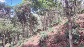 Imagem 6 - Terreno em Vale do Paraíso, Teresópolis - RJ