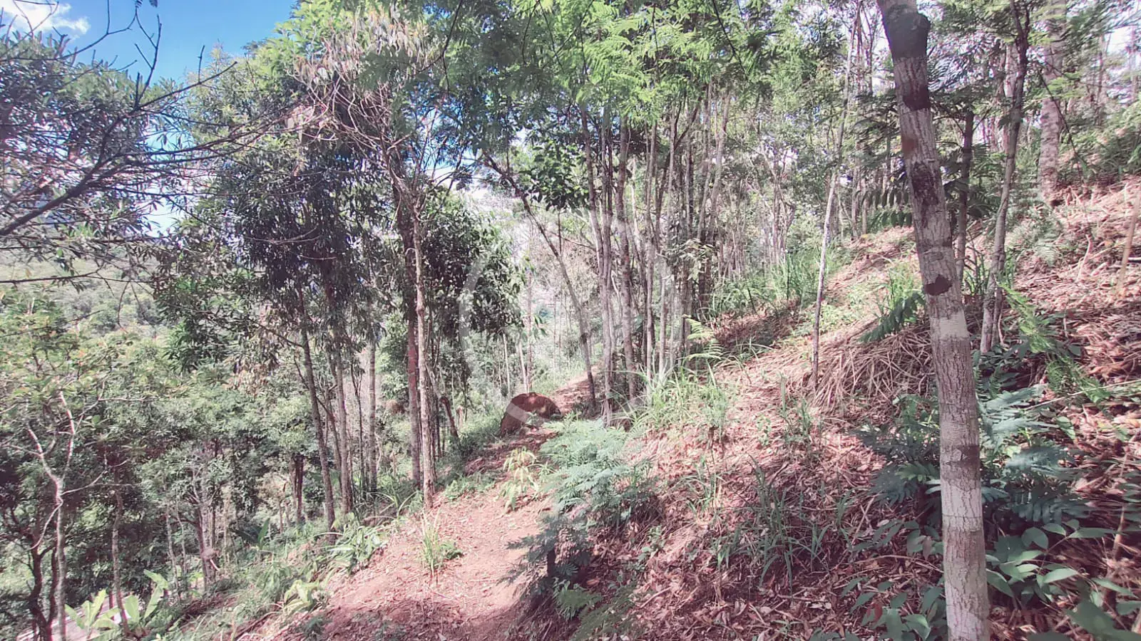 Imagem 6 - Terreno em Vale do Paraíso, Teresópolis - RJ