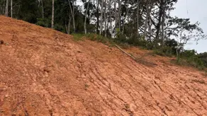 Imagem 2 - Terreno Condomínio em Albuquerque, Teresópolis - RJ