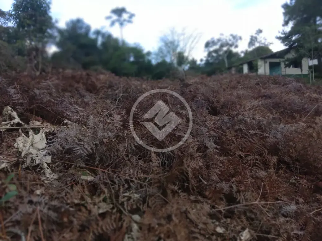 Imagem 4 - Terreno em Albuquerque, Teresópolis - RJ