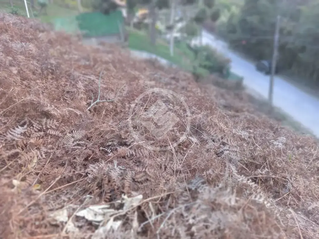 Imagem 3 - Terreno em Albuquerque, Teresópolis - RJ