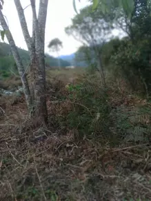 Imagem 3 - Terreno em Albuquerque, Teresópolis - RJ