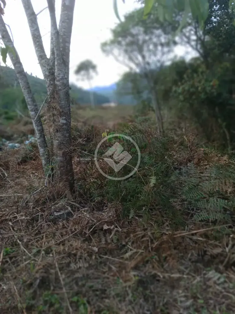 Imagem 3 - Terreno em Albuquerque, Teresópolis - RJ