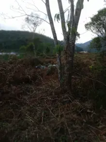 Imagem 4 - Terreno em Albuquerque, Teresópolis - RJ
