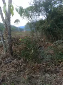 Imagem 5 - Terreno em Albuquerque, Teresópolis - RJ