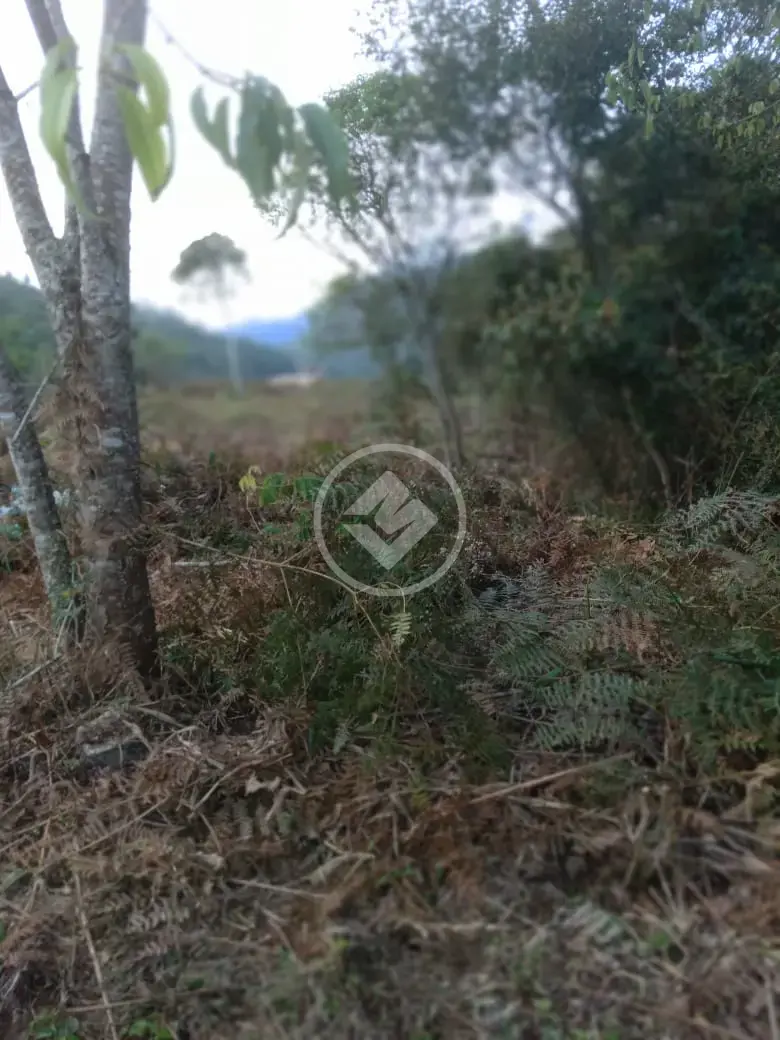 Imagem 5 - Terreno em Albuquerque, Teresópolis - RJ