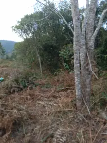 Imagem 6 - Terreno em Albuquerque, Teresópolis - RJ