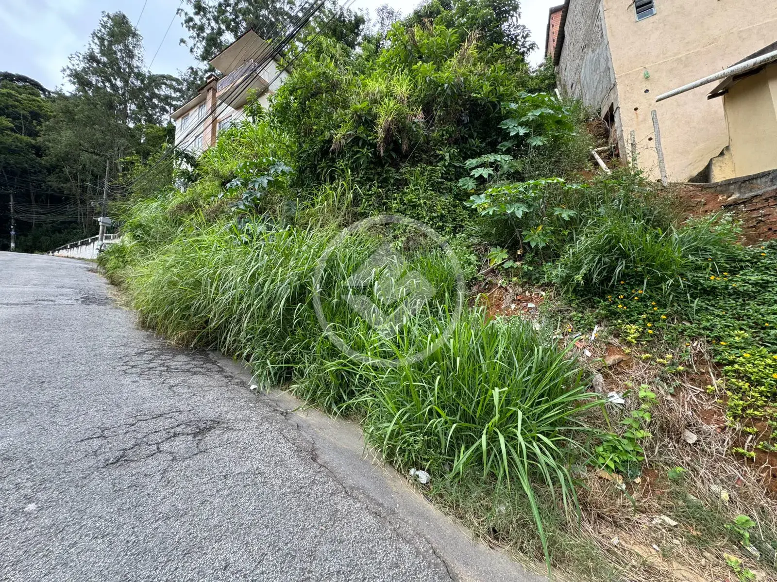 Imagem 1 - Terreno em Pimenteiras, Teresópolis - RJ