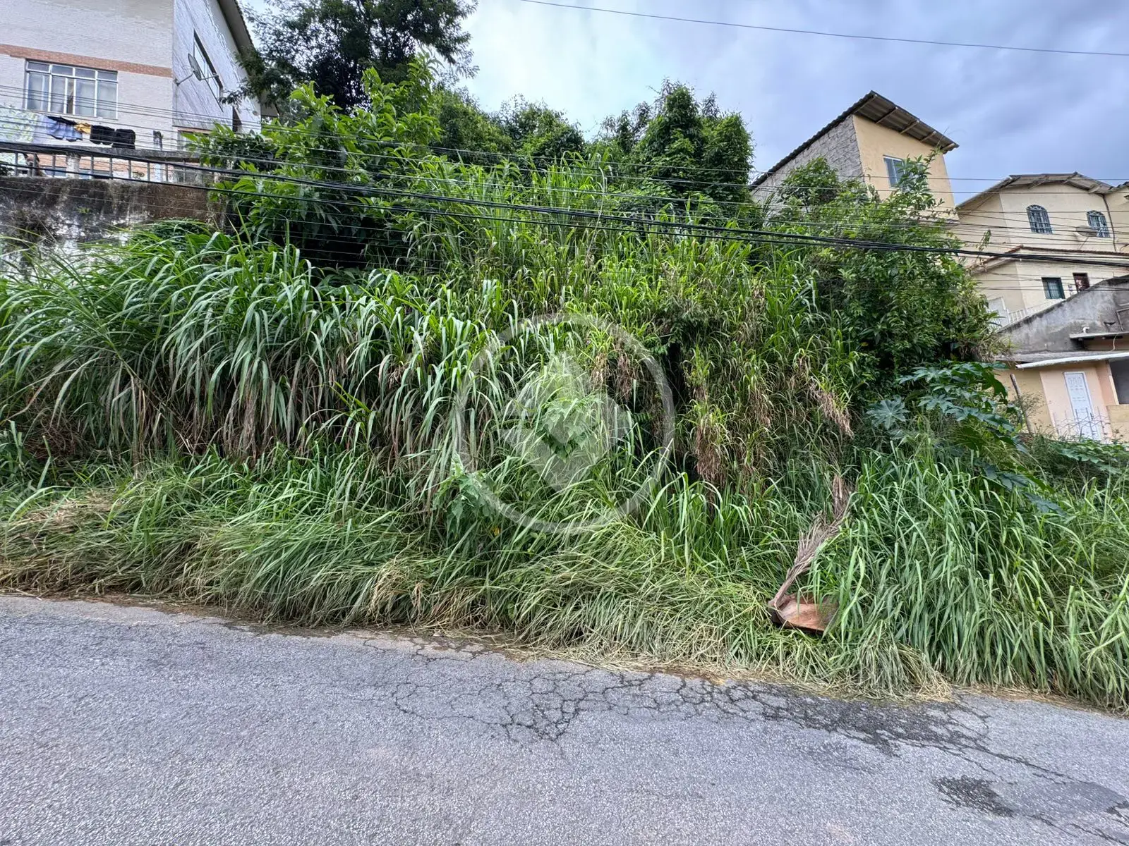 Imagem 5 - Terreno em Pimenteiras, Teresópolis - RJ