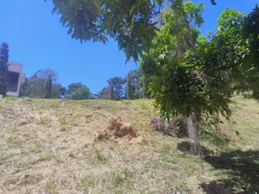 Imagem 5 - Terreno Condomínio em Posse, Teresópolis - RJ