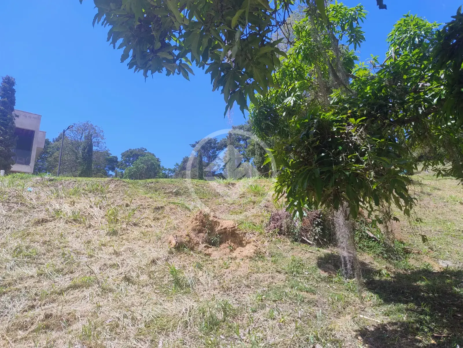 Imagem 5 - Terreno Condomínio em Posse, Teresópolis - RJ