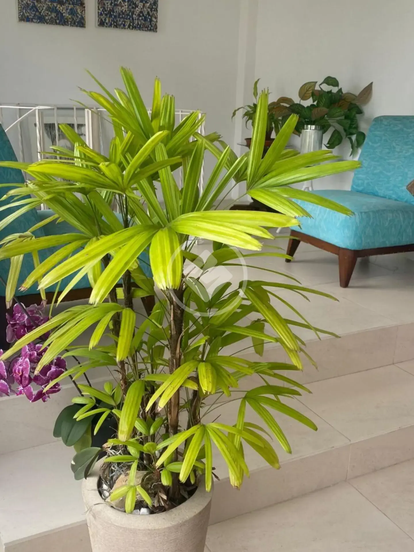 Imagem 1 - Cobertura Duplex em IPANEMA, Rio de Janeiro - RJ