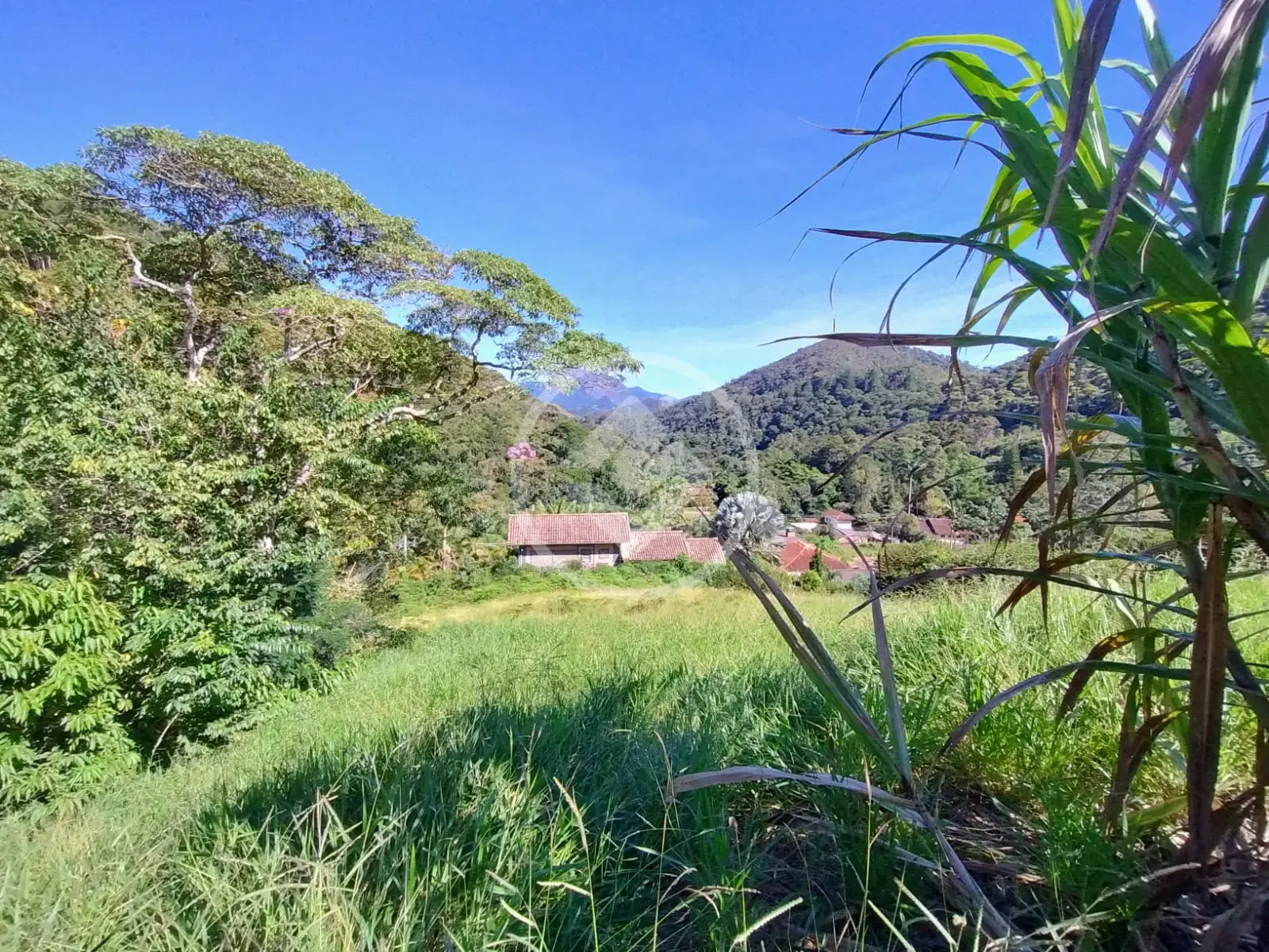 Imagem 1 - Terreno Condomínio em Albuquerque, Teresópolis - RJ