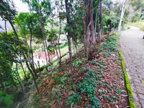 Imagem 2 - Terreno Condomínio em Parque do Imbui, Teresópolis - RJ