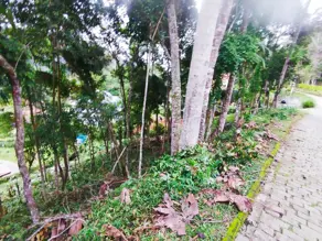 Imagem 3 - Terreno Condomínio em Parque do Imbui, Teresópolis - RJ