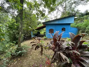 Sítio Pessegueiros, Teresópolis - RJ — foto 2