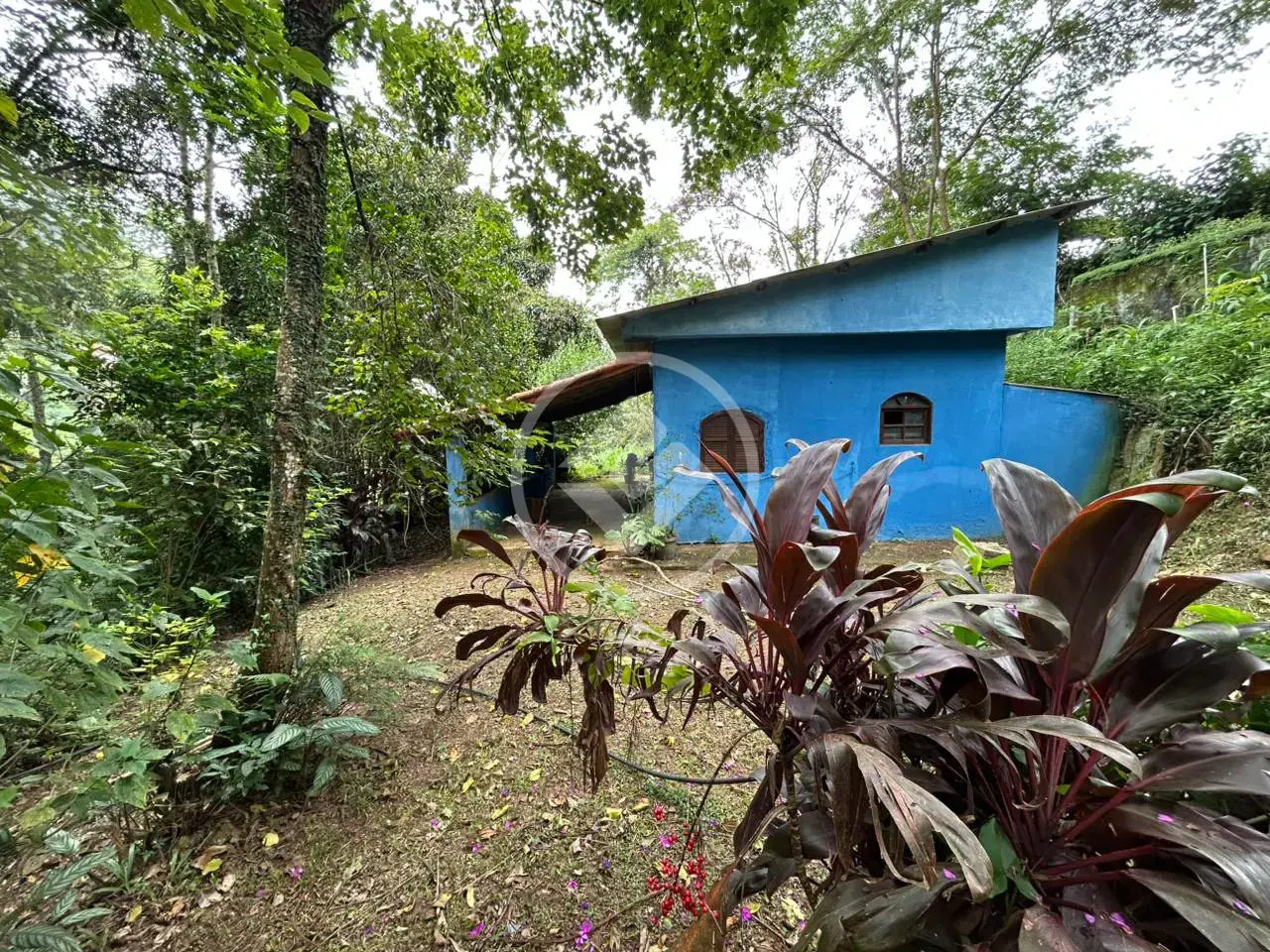 Imagem 1 - Sítio em Pessegueiros, Teresópolis - RJ