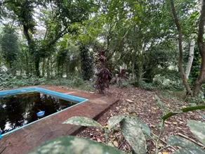 Imagem 2 - Sítio em Pessegueiros, Teresópolis - RJ