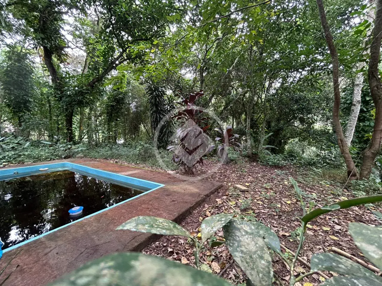 Imagem 2 - Sítio em Pessegueiros, Teresópolis - RJ