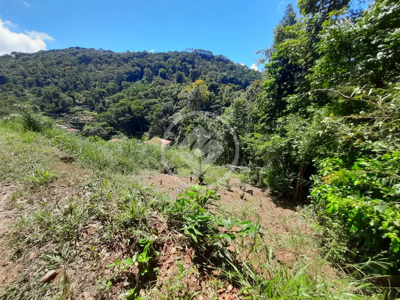 Imagem 1 - Terreno em Pessegueiros, Teresópolis - RJ