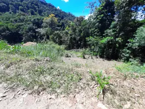 Imagem 5 - Terreno em Pessegueiros, Teresópolis - RJ