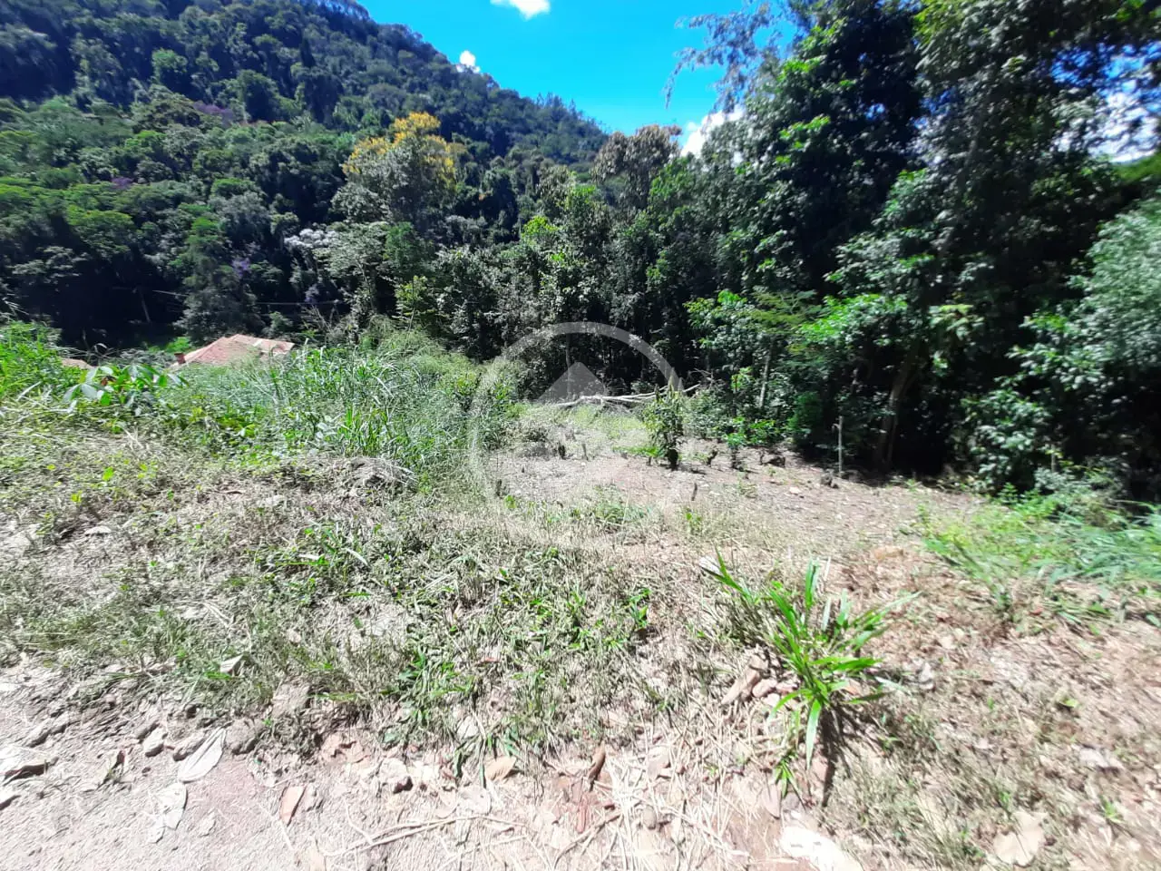 Imagem 5 - Terreno em Pessegueiros, Teresópolis - RJ