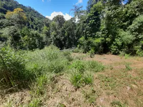 Imagem 6 - Terreno em Pessegueiros, Teresópolis - RJ