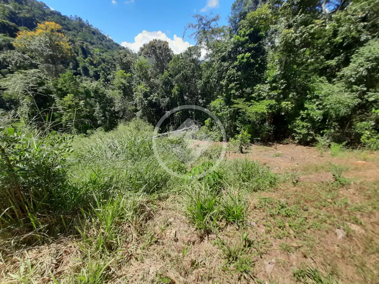 Imagem 6 - Terreno em Pessegueiros, Teresópolis - RJ