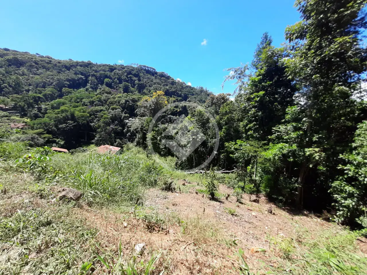 Imagem 3 - Terreno em Pessegueiros, Teresópolis - RJ