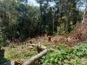 Imagem 2 - Terreno em Iucas, Teresópolis - RJ