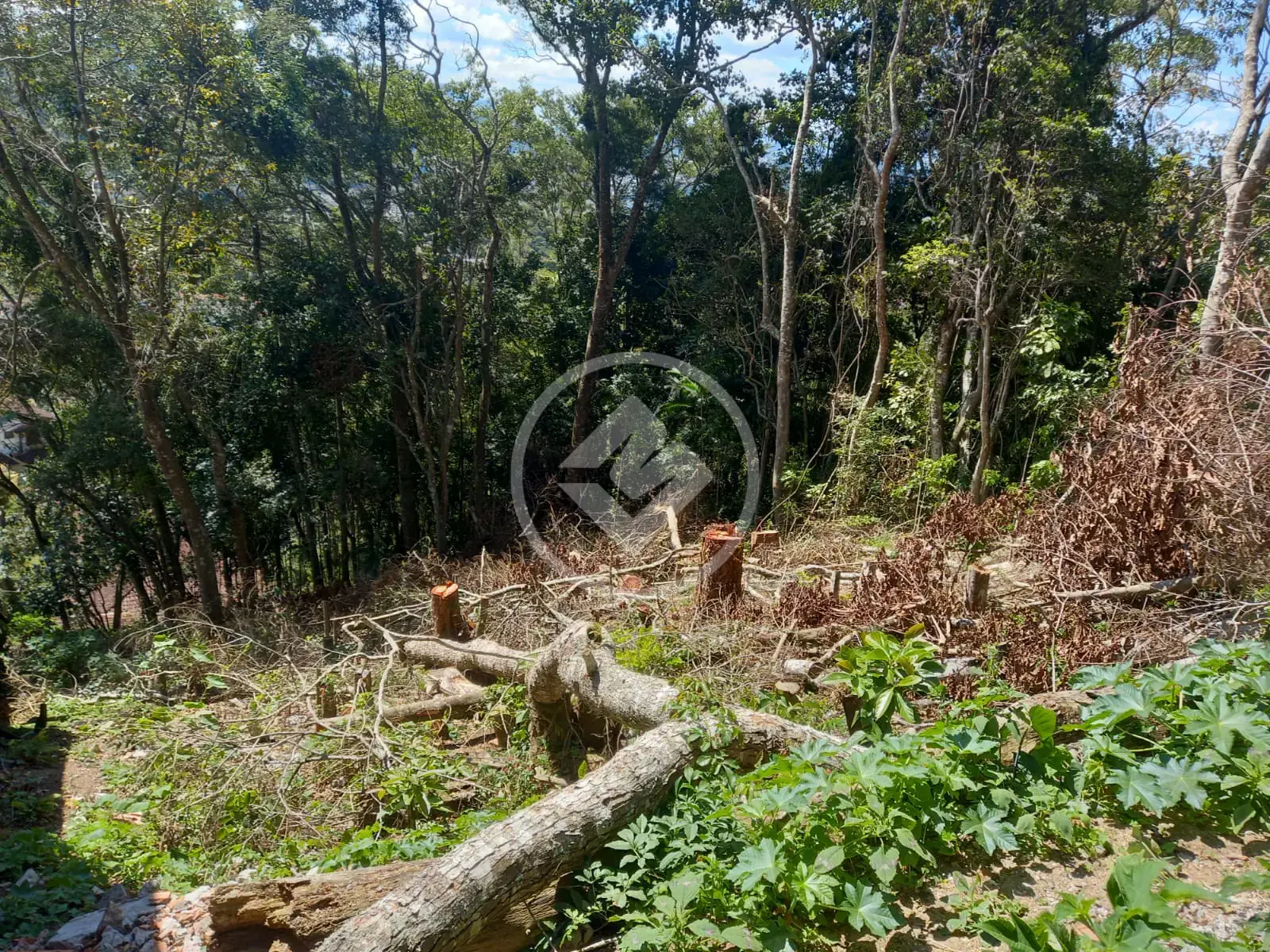 Imagem 2 - Terreno em Iucas, Teresópolis - RJ