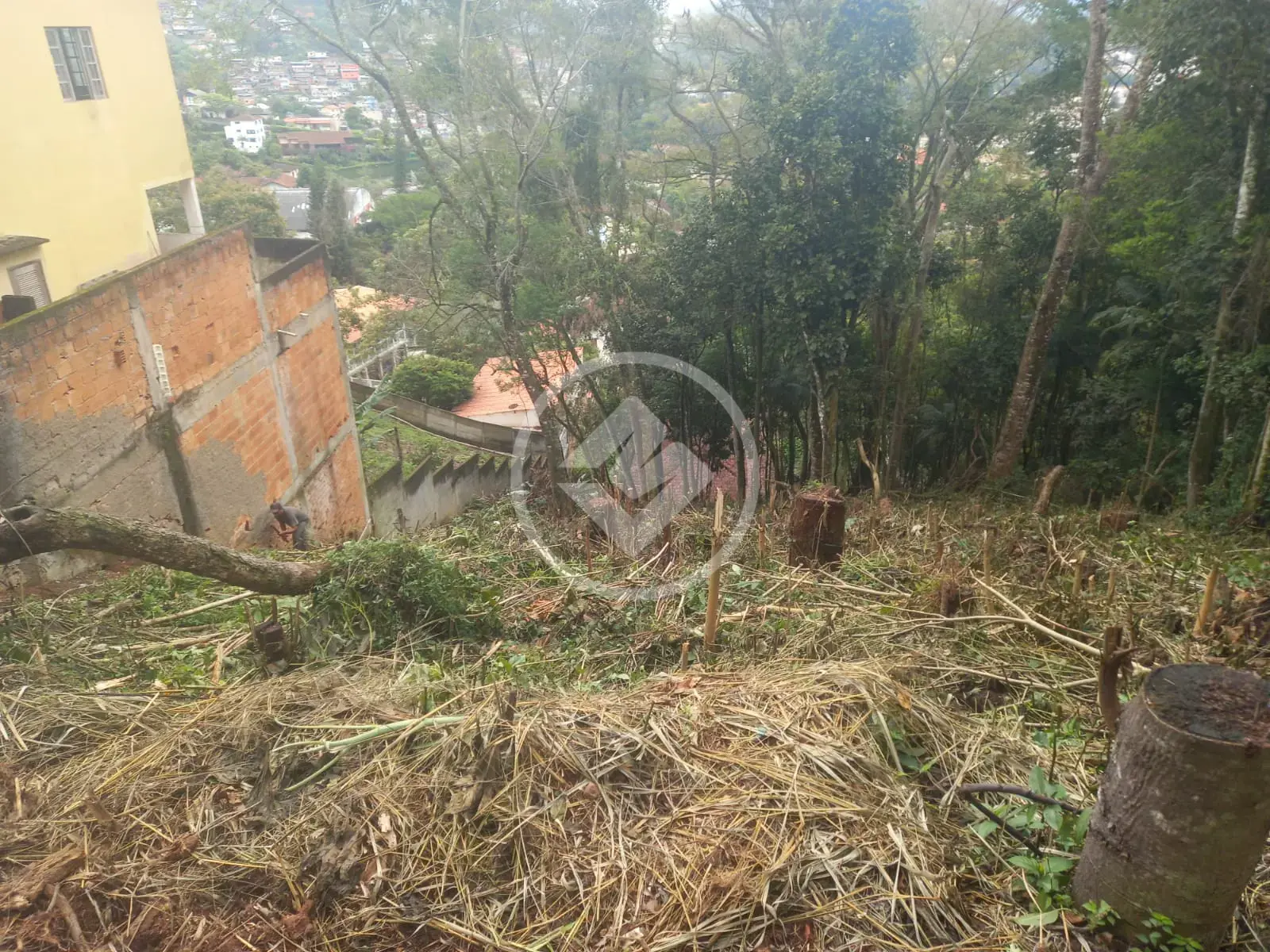Imagem 3 - Terreno em Iucas, Teresópolis - RJ