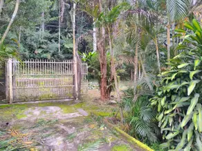 Sítio Albuquerque, Teresópolis - RJ — foto 2