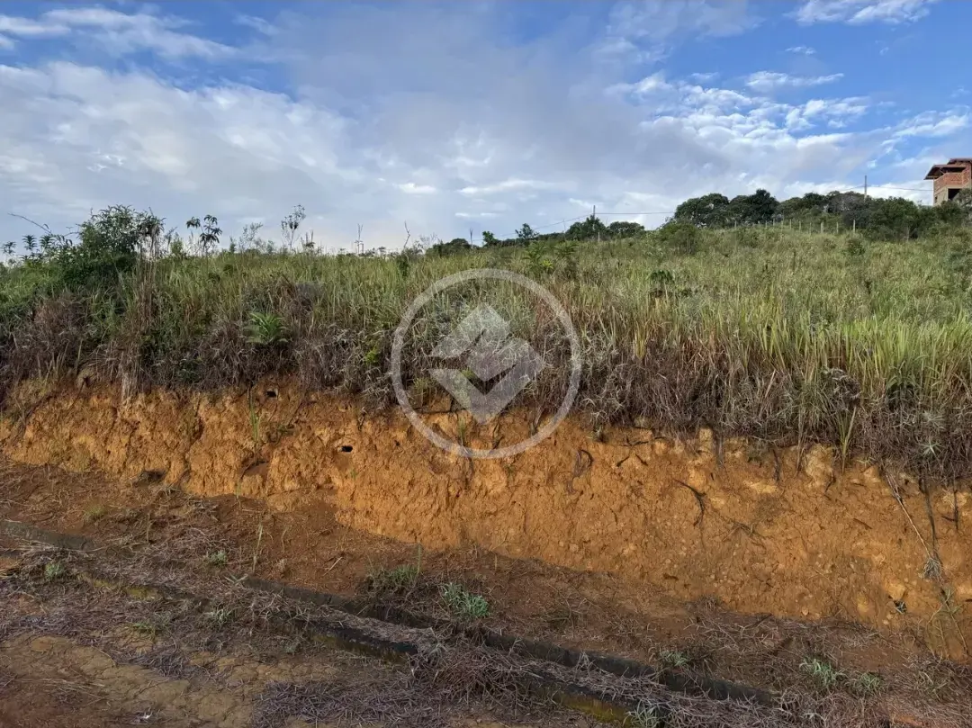 Imagem 5 - Terreno Condomínio em Pessegueiros, Teresópolis - RJ