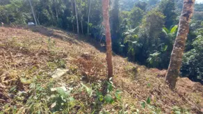 Terreno Condomínio Quebra Frascos, Teresópolis - RJ — foto 2