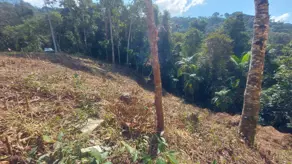 Imagem 3 - Terreno Condomínio em Quebra Frascos, Teresópolis - RJ