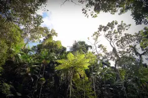 Imagem 4 - Terreno Condomínio em Quebra Frascos, Teresópolis - RJ