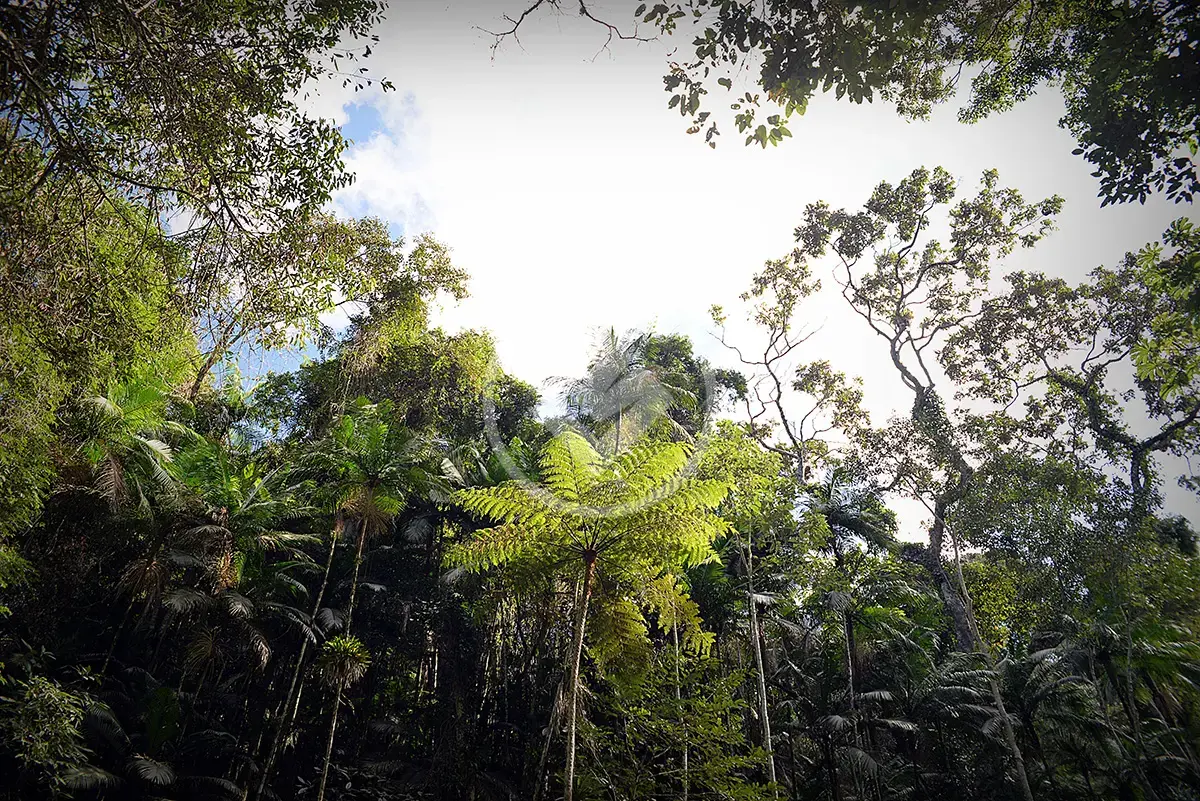 Imagem 4 - Terreno Condomínio em Quebra Frascos, Teresópolis - RJ