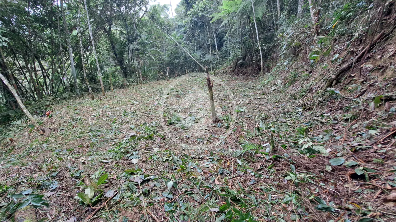 Imagem 6 - Terreno em Vargem Grande, Teresópolis - RJ