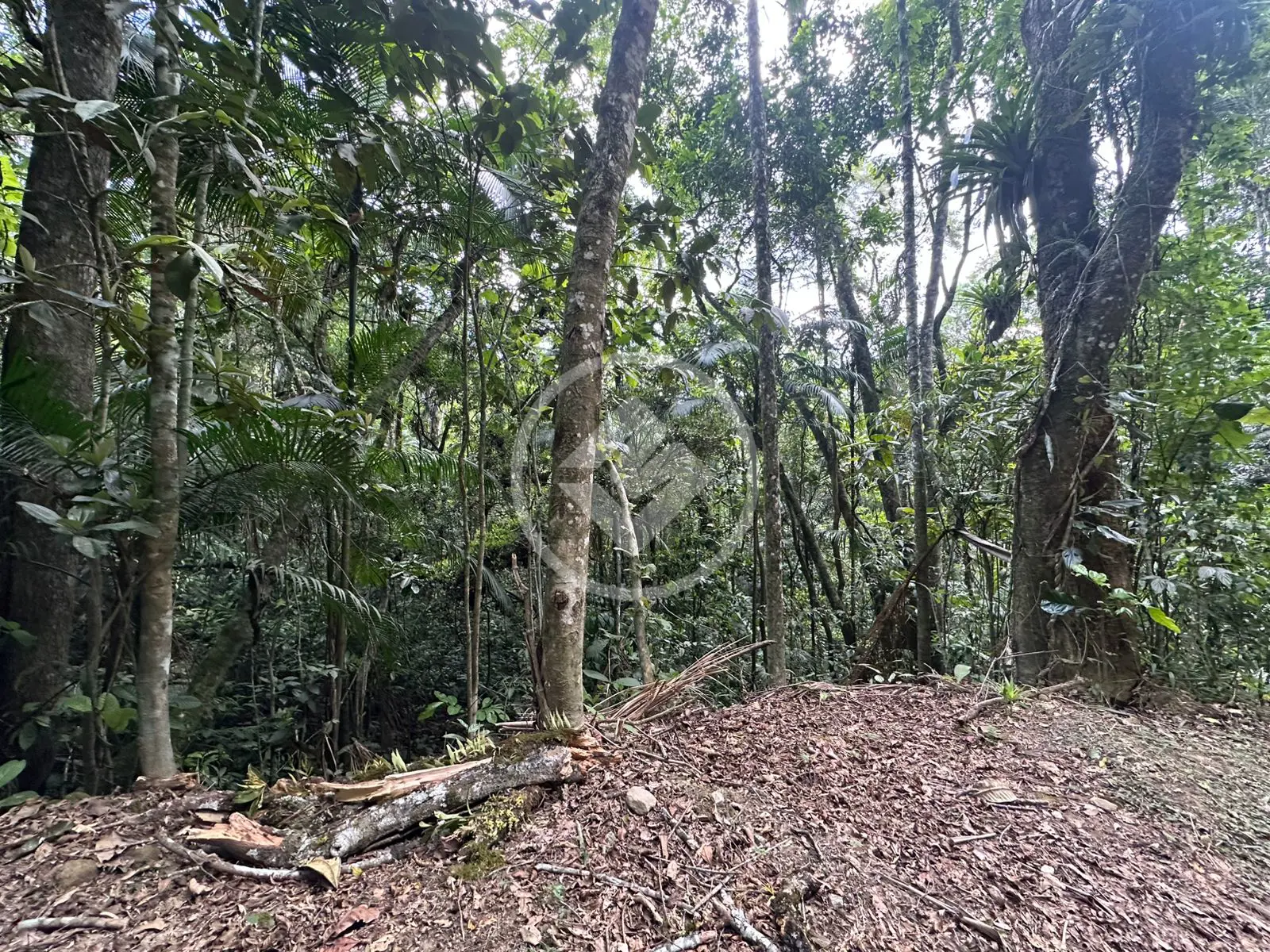 Imagem 6 - Terreno em Vargem Grande, Teresópolis - RJ