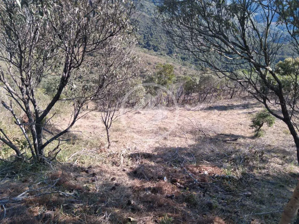 Imagem 1 - Terreno Condomínio em Pedro do Rio, Petrópolis - RJ