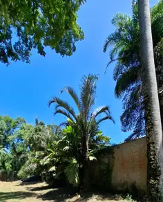 Imagem 2 - Terreno Condomínio em Praia do Itamambuca, Ubatuba - SP