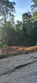 Imagem 2 - Terreno em Tenório (Praia Vermelha), Ubatuba - SP