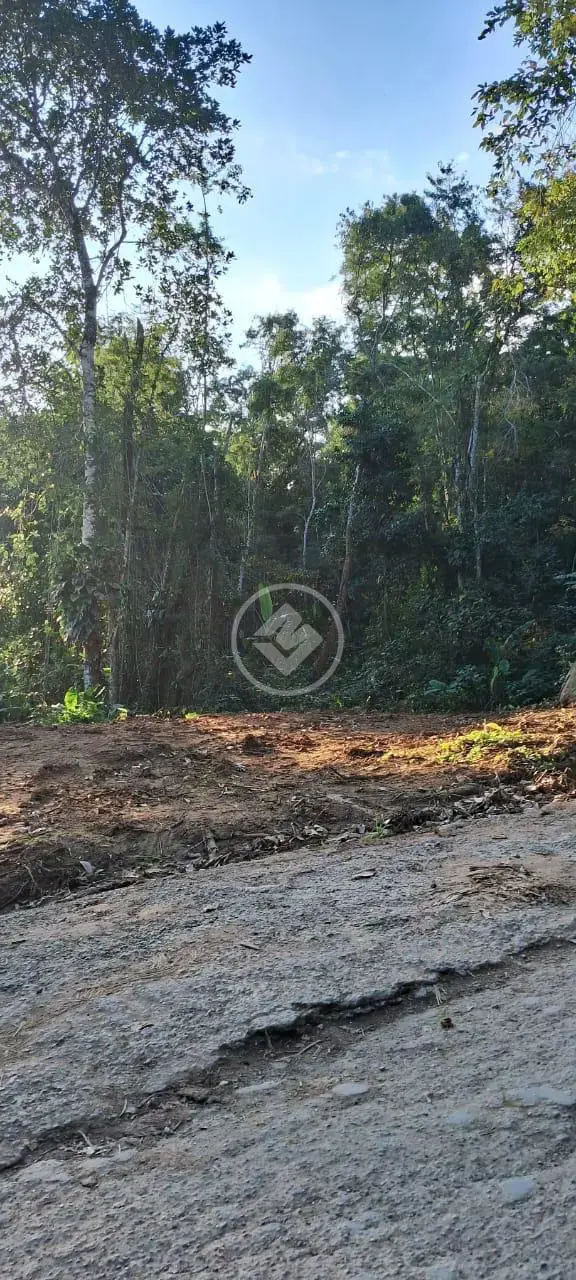 Imagem 2 - Terreno em Tenório (Praia Vermelha), Ubatuba - SP