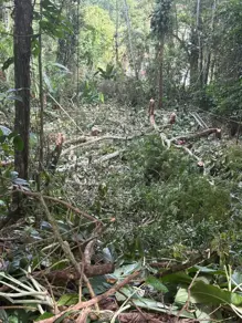 Imagem 3 - Terreno em Tenório (Praia Vermelha), Ubatuba - SP