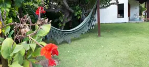 Imagem 4 - Hotel / Motel / Pousada em Praia do Itamambuca, Ubatuba - SP